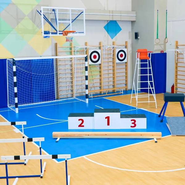 Щит для метания навесной на шведскую стенку (фанера) 700х700 ZAVODSPORTA за 8&nbsp;960 ₽ в Екатеринбурге